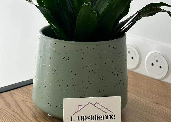 L'obsidienne Guest house Virecourt